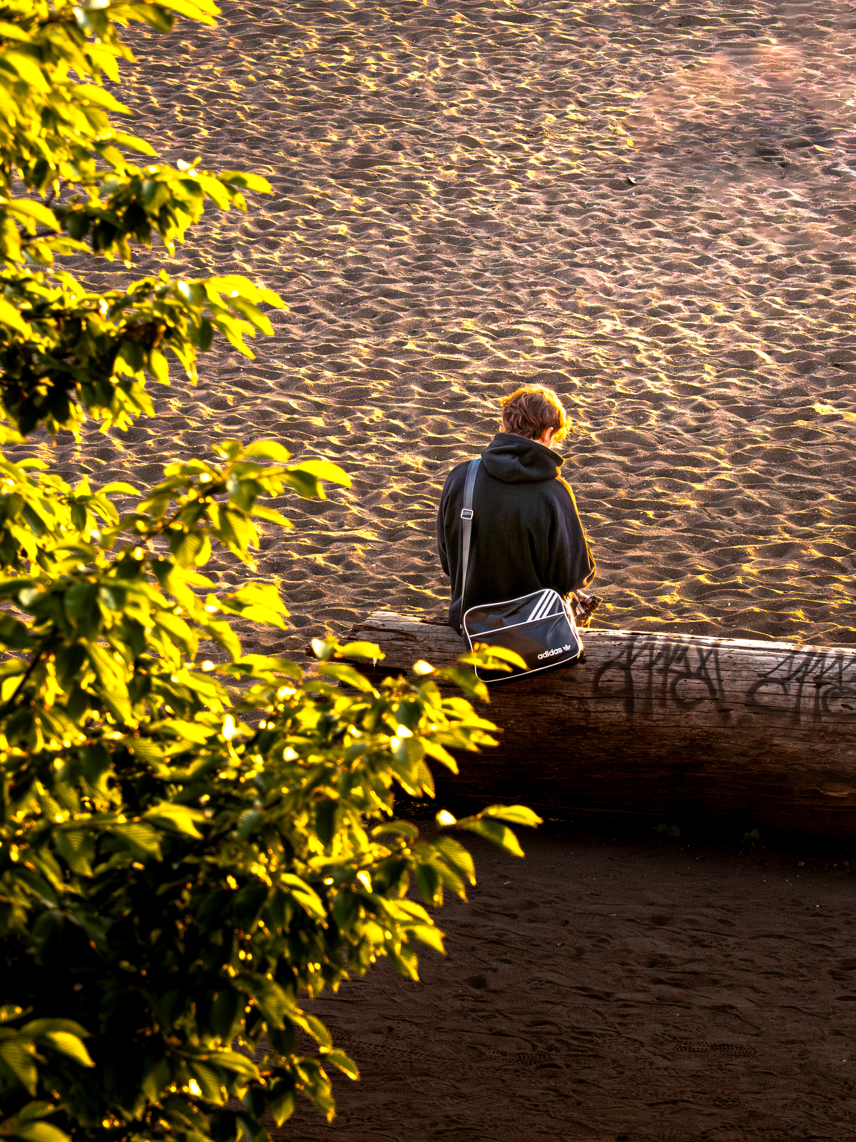 Man on fallen tree